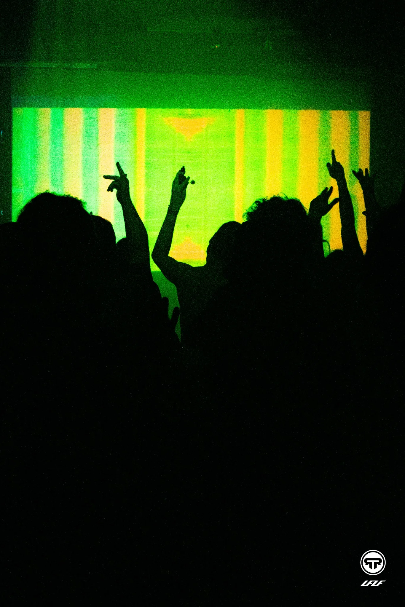 Crowd